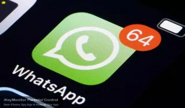 monitor whatsapp messages