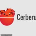 Cerberus App Review - Is Cerberus App Safe?