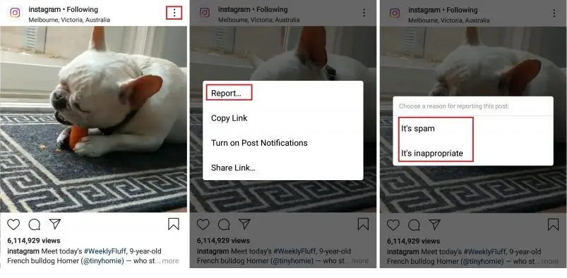 use Reporting Tools to Report Online Abuse